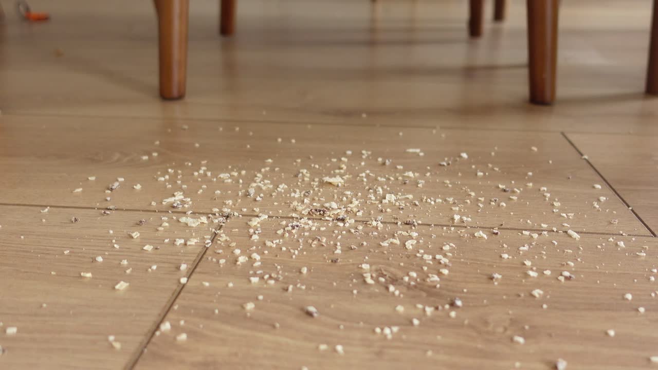 나무 바닥의 어리