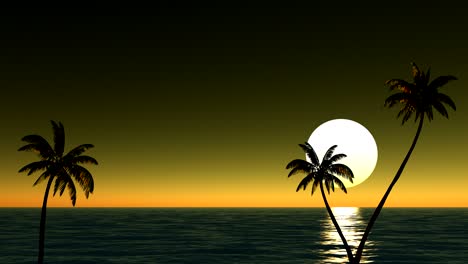 sun and palm trees on the beach near the sea, time-lapse