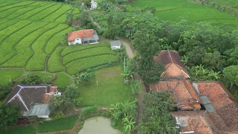 Motorbike-driving-past-a-home-in-rural-Indonesia