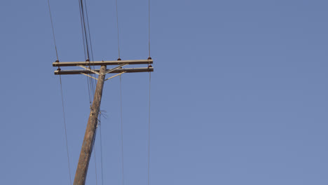 Telephone pole against a blue sunny sky in the Texas countryside