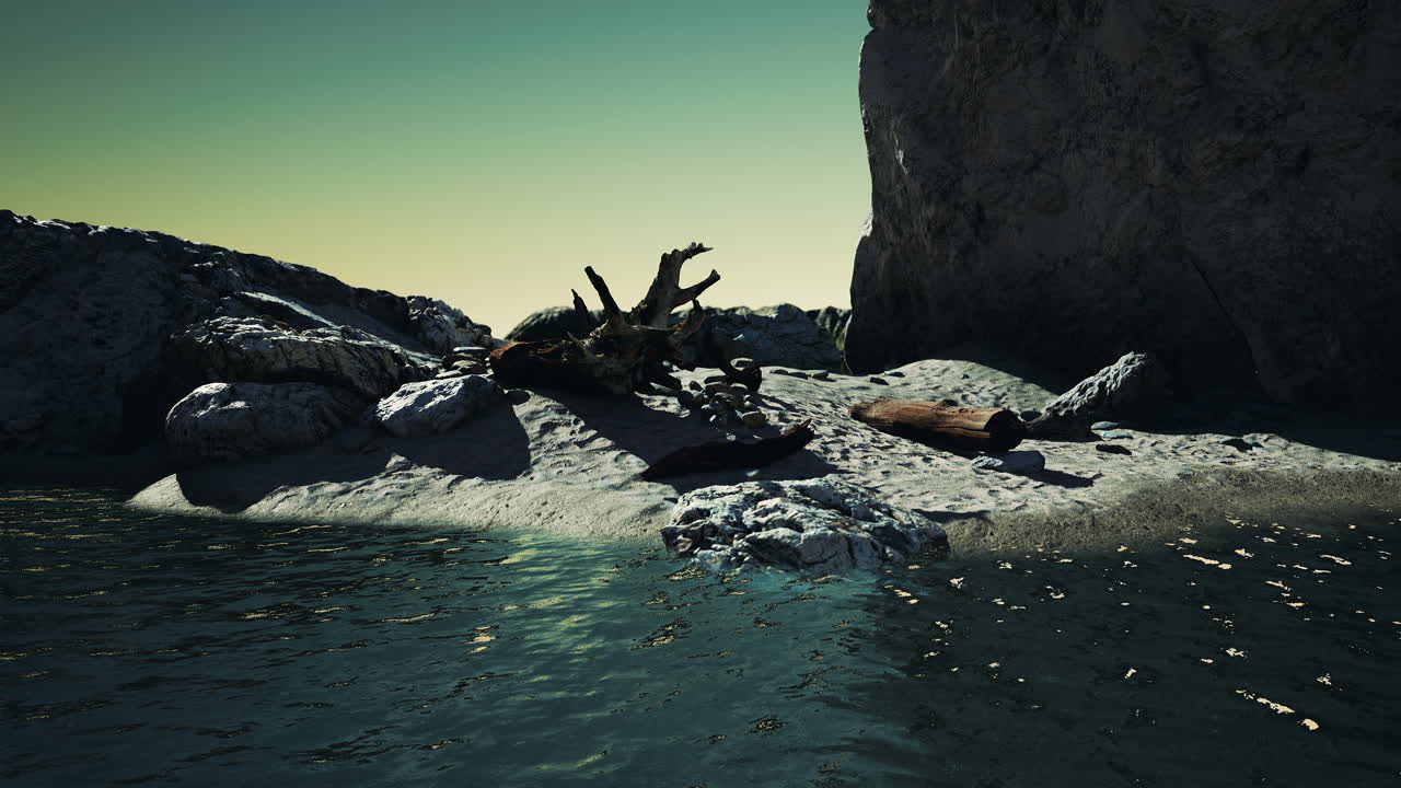 hiperlapso de playa rocosa con árboles muertos