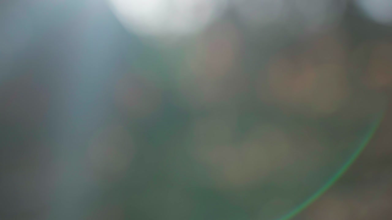 Sfondo bokeh astratto naturale. Texture sfocata di foresta marrone con movimento laterale della telecamera al rallentatore. Luce soffusa, motivi organici ad alto frame rate e sfocatura cinematografica.