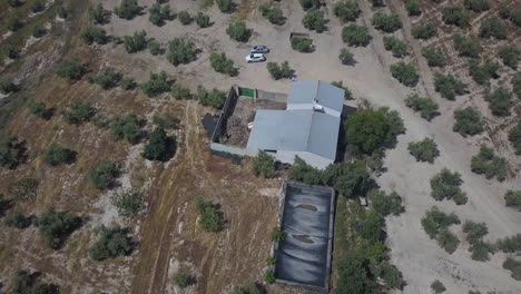 Aerial-tilt-down-shot-of-a-warehouse-in-a-field-of-olives-in-Spain