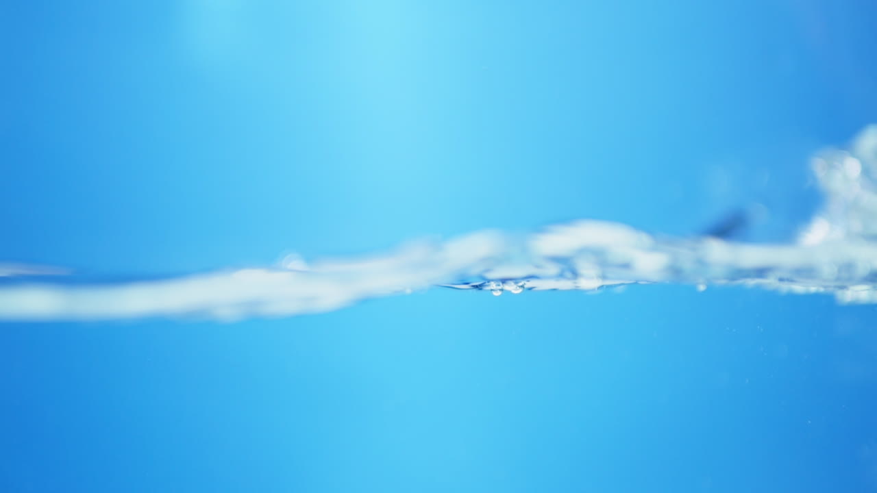 자연에서 유체 운동