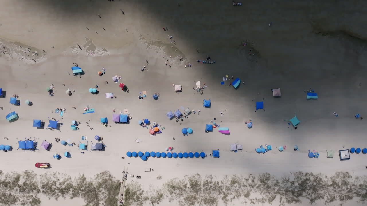 Top-down aerial video of Hilton Head beach with beachgoers relaxing under vibrant blue umbrellas near the waterline