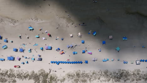 top-down aerial video of hilton head beach with beachgoers relaxing under vibrant blue umbrellas near the waterline