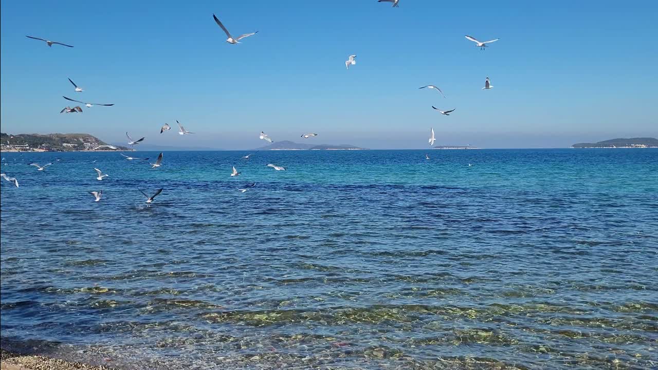 깊은 파란 바다와 날아다니는 해파리