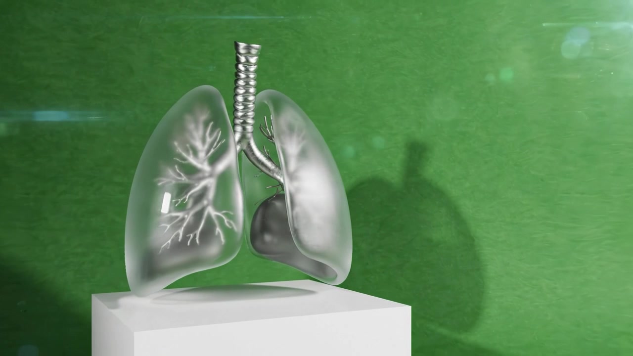 Una splendida rappresentazione in cristallo di polmoni umani che mostra intricate strutture bronchiali su uno sfondo verde vibrante.