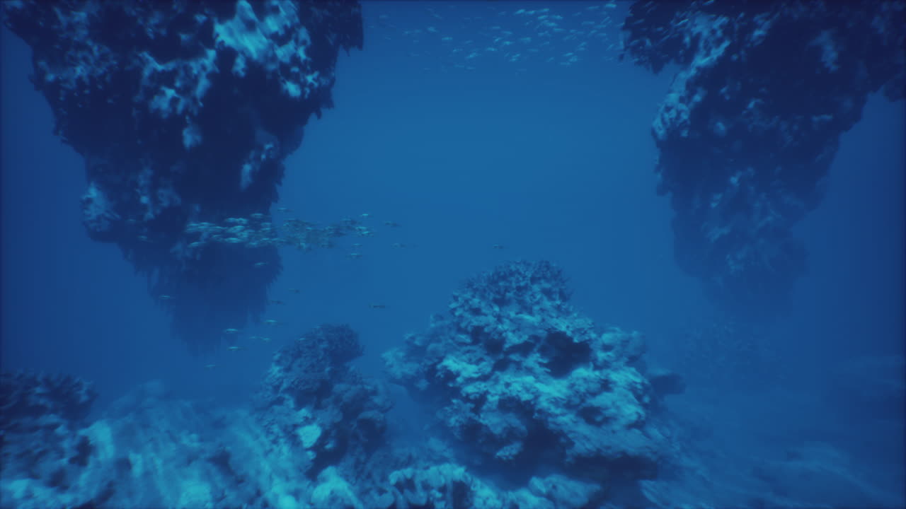 Explore the serene underwater world with vibrant coral formations and fish