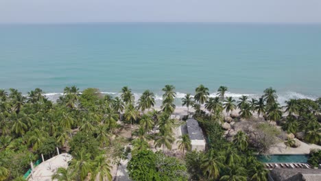 Palm-trees-lining-the-beach-with-clear-turquoise-waters-in-palomino,-colombia,-aerial-view