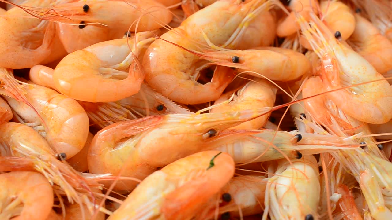 Gamberetti bolliti. Ripresa di un gamberetto