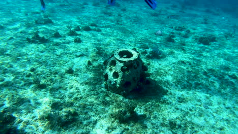 Steinskulptur-Unter-Wasser-Ein-Großer-Ovaler-Türkisfarbener-Stein-Unter-Wasser-Klare-Sicht-Auf-Das-Korallenriff-Im-Karibischen-Meer