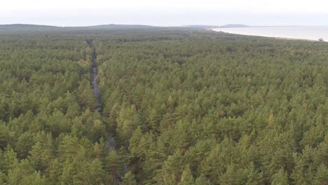 Vista-Aérea-De-Drones-Del-Bosque-En-El-Parque-Nacional-Del-Istmo-De-Curlandia,-Lituania