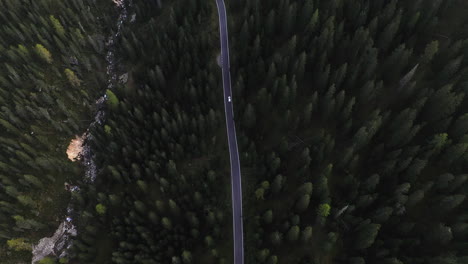 Vista-Aérea-Siguiendo-Un-Coche-En-Una-Carretera-En-Medio-De-Bosques-Y-Un-Río,-En-Dolomitas,-Italia