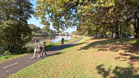 people walking and cycling in a park