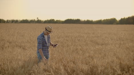 Granjero-Que-Usa-Tableta-En-Campo-De-Trigo.-Científico-Que-Trabaja-En-El-Campo-Con-Tecnología-Agrícola.-Cerca-De-La-Mano-Del-Hombre-Tocando-Tablet-Pc-En-Tallos-De-Trigo.-Agrónomo-Investigando-Espigas-De-Trigo