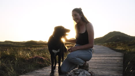 slow motion of a young woman and her dog while sunset