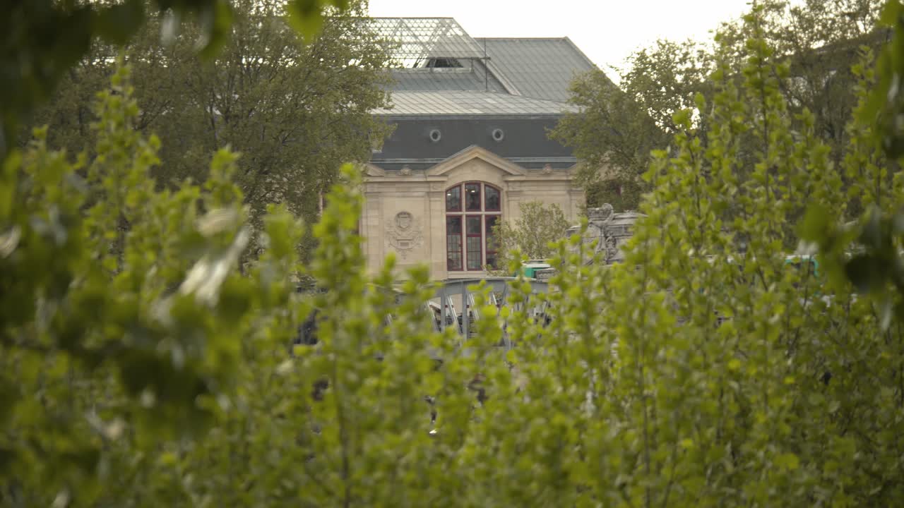 Historical building window of Paris with green foliage in foreground, static view
