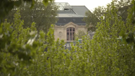 Historisches-Gebäudefenster-Von-Paris-Mit-Grünem-Laub-Im-Vordergrund,-Statische-Ansicht
