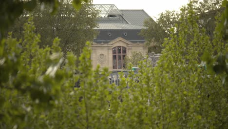 historical building window of paris with green foliage in foreground, static view