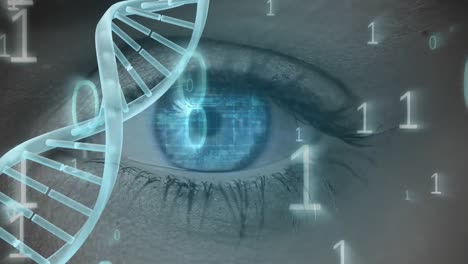 Blaues-Auge-Mit-Binärcode-Und-DNA-Helix