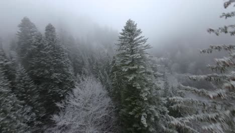 FPV-Exploring-Shot-Over-Snowy-Green-Forest-In-Bucegi-Mountains,-Romania