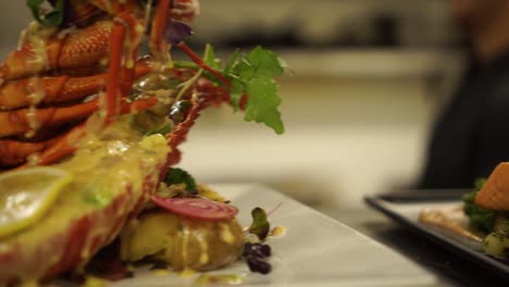 meal presentation of new zealand crayfish, with salad, potatoes, lemon and salmon at a luxury restaurant - close up detail