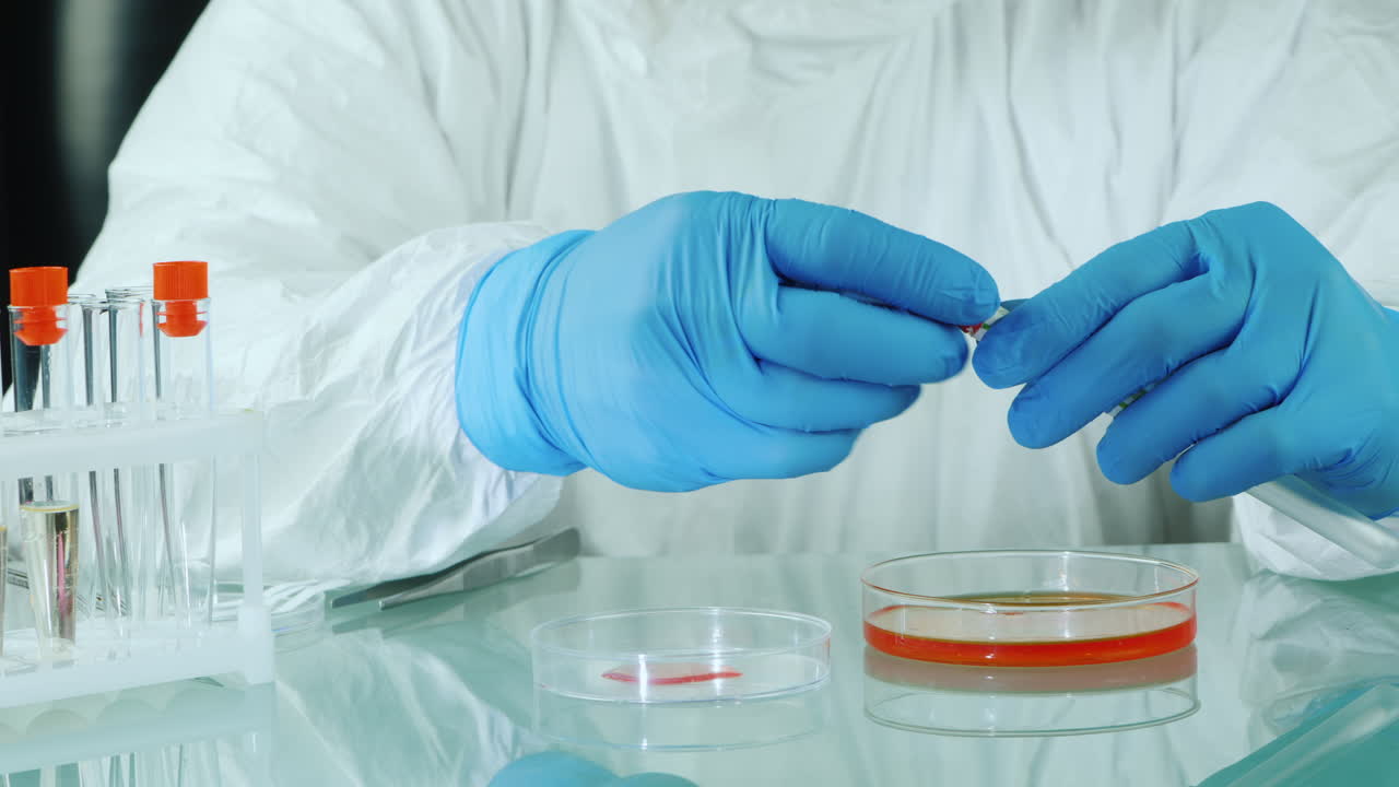 hombre haciendo un examen microbiológico de muestras en un laboratorio con una placa de petri