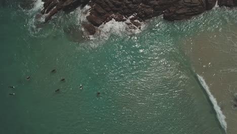 Birds-eye-view-aerial-view-of-surfers-at-the-beach-in-Australia