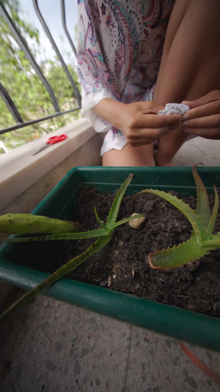 Mulher cuidando de uma planta de babosa
