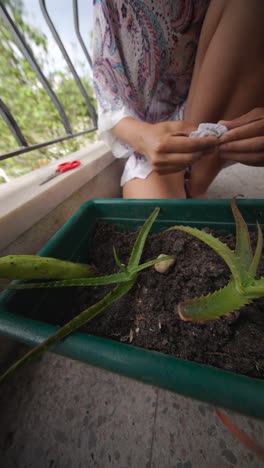 woman caring for aloe vera plant