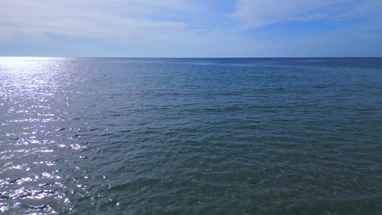 바다 위에 두 그루의 야자수 사이로