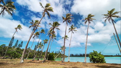 una playa vacía junto a una laguna paradisíaca con cocoteros y pinos columnares en la isla de pinos en nueva caledonia - lapso de tiempo