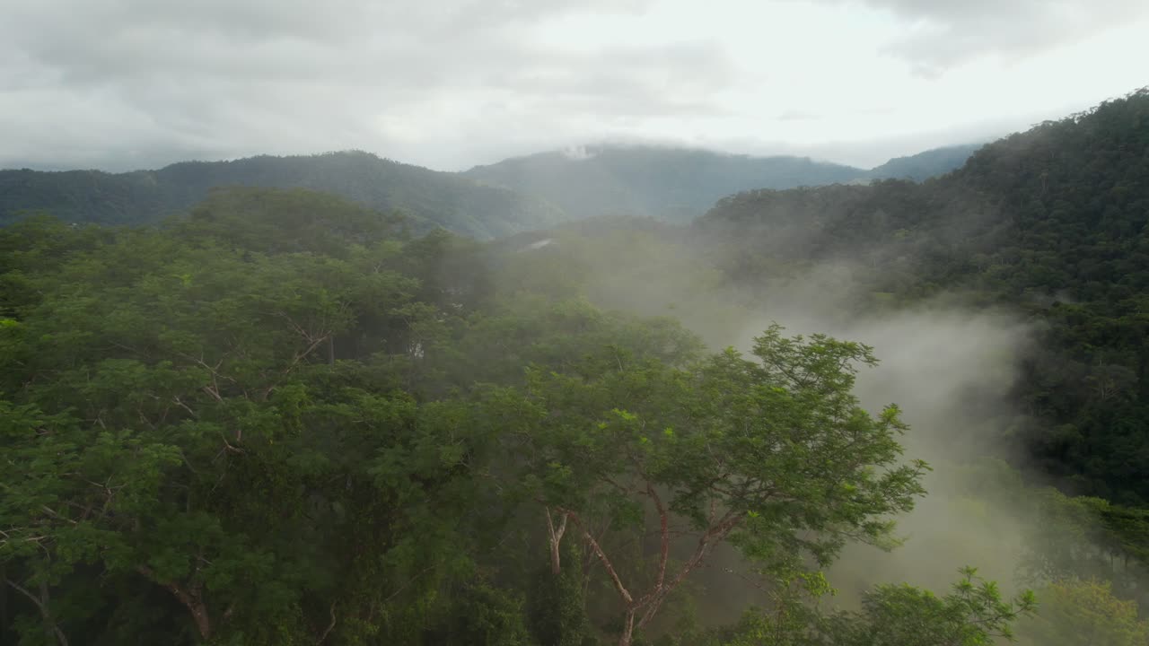 mañana de la jungla brumosa de costa rica avión no tripulado aéreo