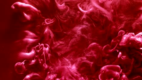 salpicaduras de pintura intro coral brillante rosa flujo de fluido