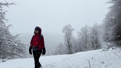 Eine-Frau-Trägt-Eine-Rote-Jacke-Im-Kalten-Winterschneefall-Und-Hat-Spaß-Beim-Betrachten-Der-Kamera.-Sie-Wandert-Bei-Starkem-Schneefall-In-Richtung-Kamera.-Das-Wunderbare-Winterreiseabenteuer-Bietet-Einen-Weiten-Blick-Auf-Den-Hyrkanischen-Wald-In-Der-Wintersaison.