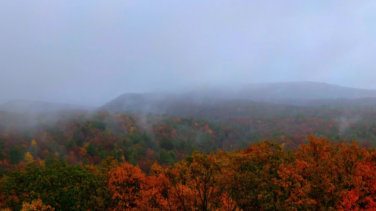Fall Color at Smoking Smokey Mountain on a Rainy Day
