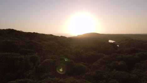 Aéreo---Bajo-Por-Encima-De-Los-Arbustos-Verdes-Durante-La-Puesta-De-Sol