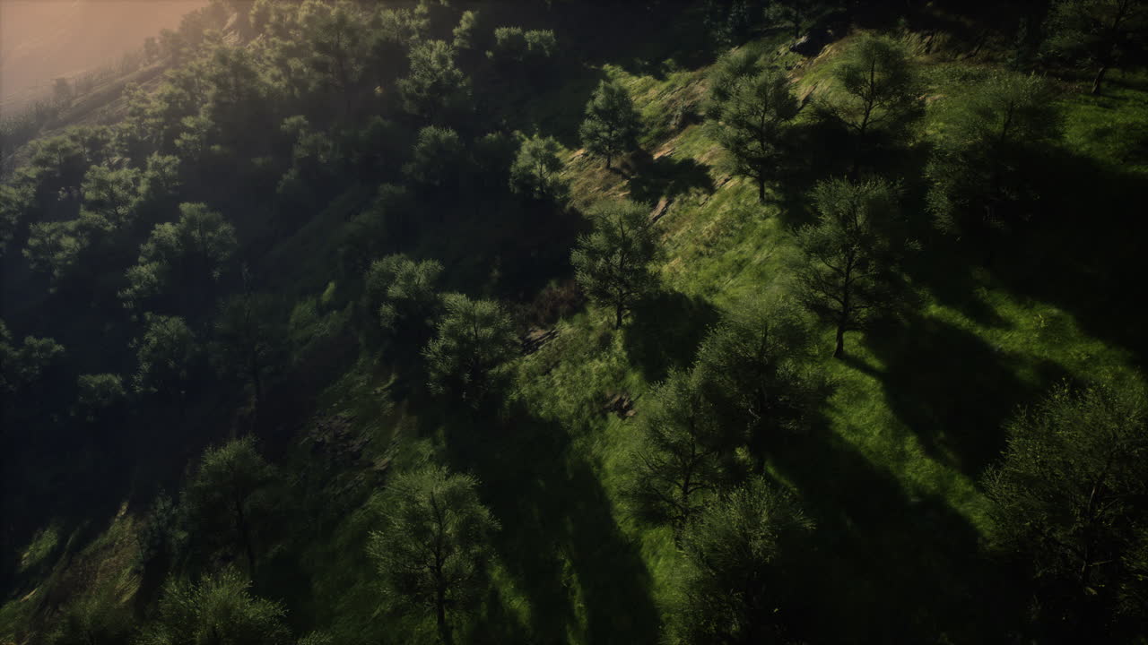 mañana de otoño con niebla en las montañas