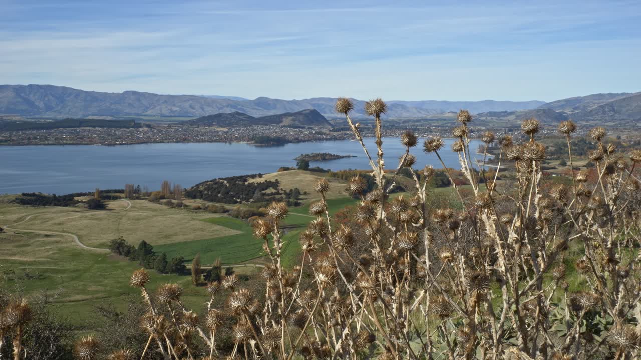 Roys Peak Overlooking Town In South Island, New Zealand - Wide Shot