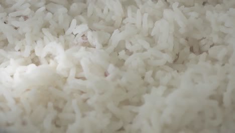 white rice with a slow movement of camera, with some soft light