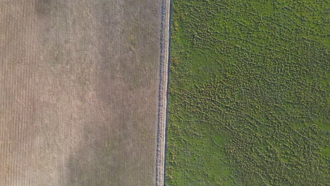 vista aérea de un campo verde frente a un campo vacío