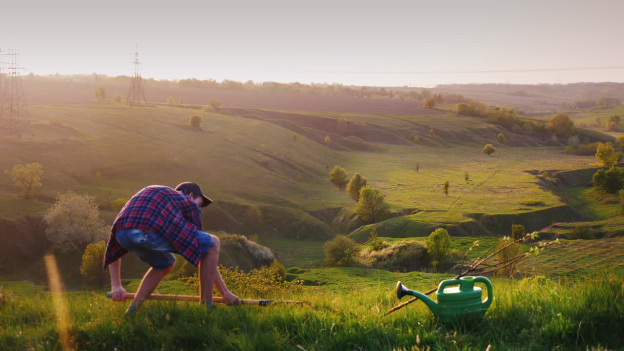 17세 청년이 나무를 심다