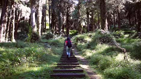 Traveling-woman-on-stairs-in-woods