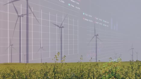 Animation-of-statistical,-stock-market-data-processing-over-spinning-windmills-on-grassland