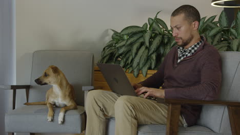 an african american man brings his dog to work at his high tech job