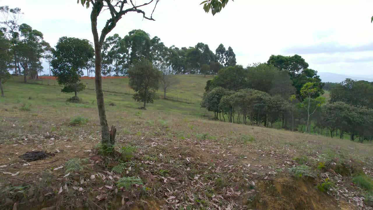 dolly inn de campos a canyon en curuti colombia