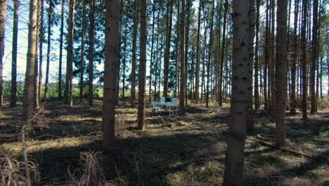 un pequeño estudio con computadora, escritorio y silla instalado en lo profundo del bosque