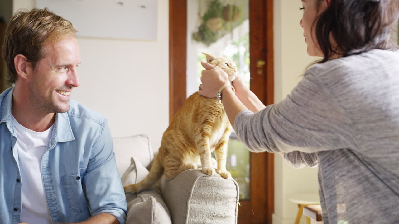 Life together is a &amp;quot;furrytale&amp;quot; come to life