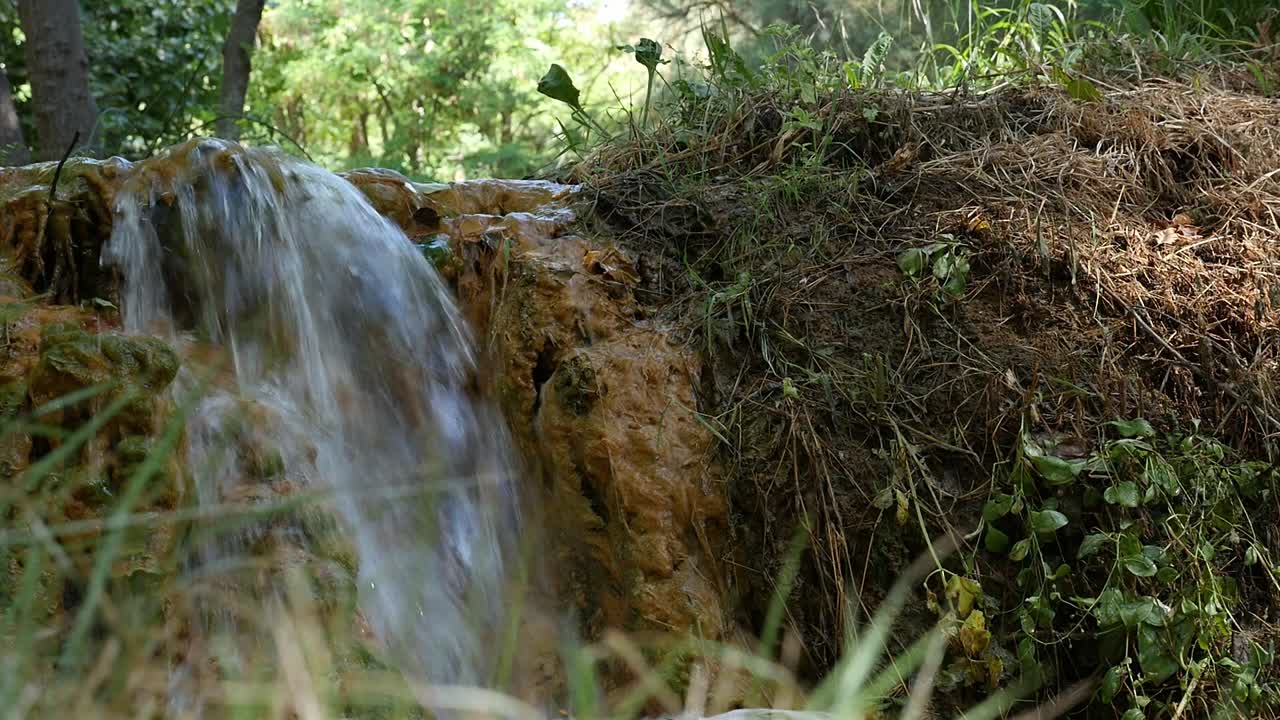시냇물에서 바위 표면 위로 맑은 물이 흐르고 있어요.